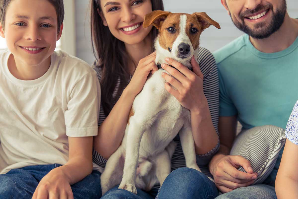 copacul-vietii-tree-of-life-semifica-familia
